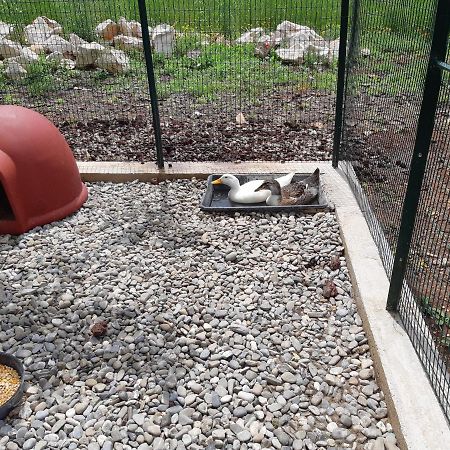 הוילה מרטינה פרנקה Trullo Della Rosa מראה חיצוני תמונה
