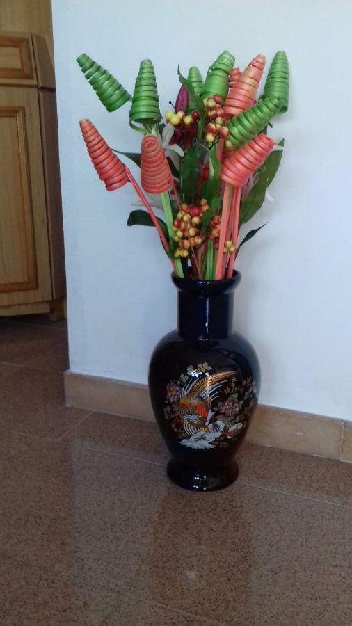 הוילה מרטינה פרנקה Trullo Della Rosa מראה חיצוני תמונה