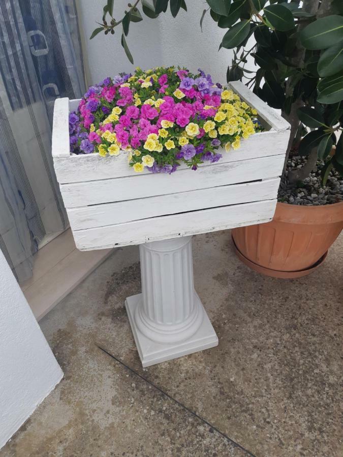 הוילה מרטינה פרנקה Trullo Della Rosa מראה חיצוני תמונה
